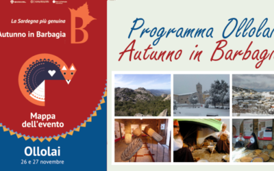 PROGRAMMA “IMPARA S’ARTE” A OLLOLAI